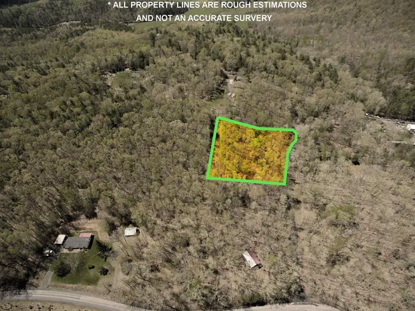 Bucksnort Trl, Doe Hill, VA 24433