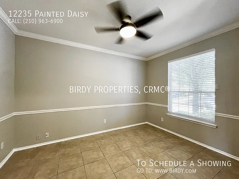 12235 Painted Daisy — Photo 10
