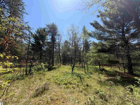 10 Us, Idlewild, MI 49642