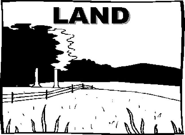 1st image of 13708 S Carolina #11