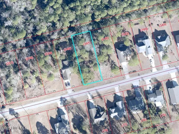 2028 Caracara Dr Lot 341, New Bern, NC 28560
