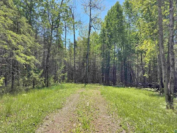 1567 N Shore Rd, La Pointe, WI 54850