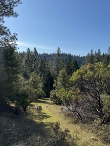 8 Mile Rd, Camino, CA, 95709