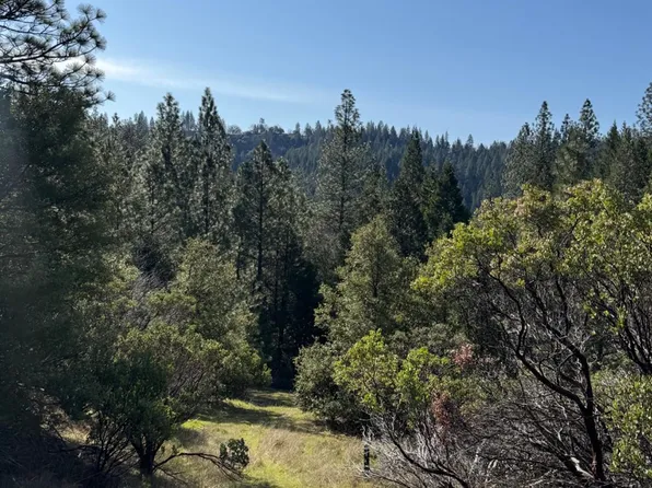 8 Mile Rd, Camino, CA 95709