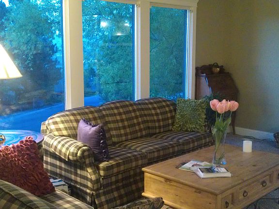 Living Room Windows
