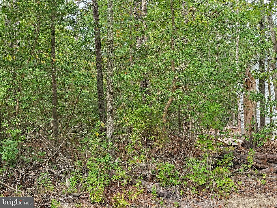 2nd image of 41 Wildwood Dr