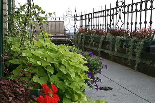 Sold by Corcoran | media 22