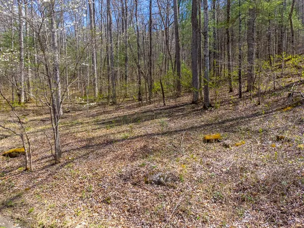 306 Cedar Creek Farm Rd, Tuckasegee, NC 28783