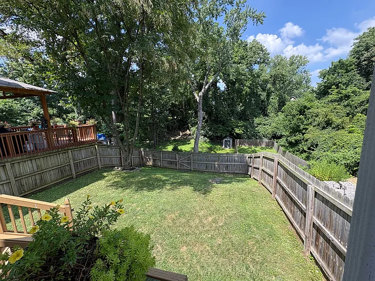 Fenced-in backyard