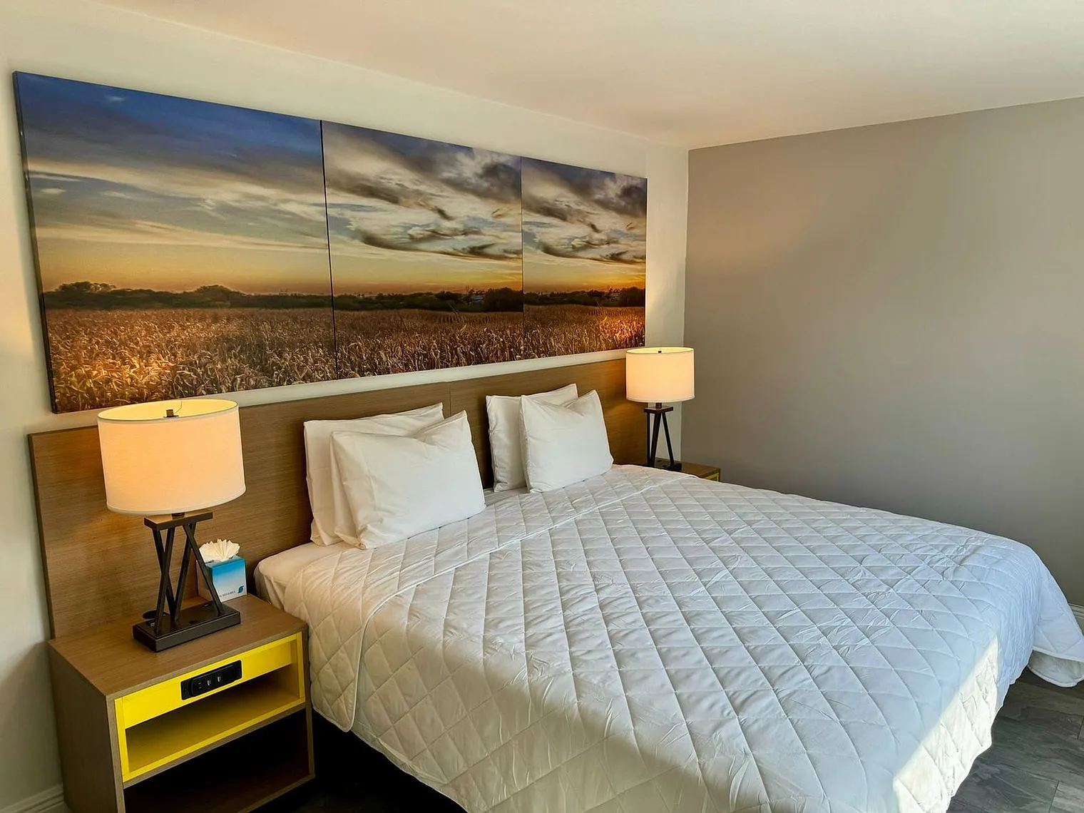 1 bed, 1.0 bath, $3,629 — Photo 3