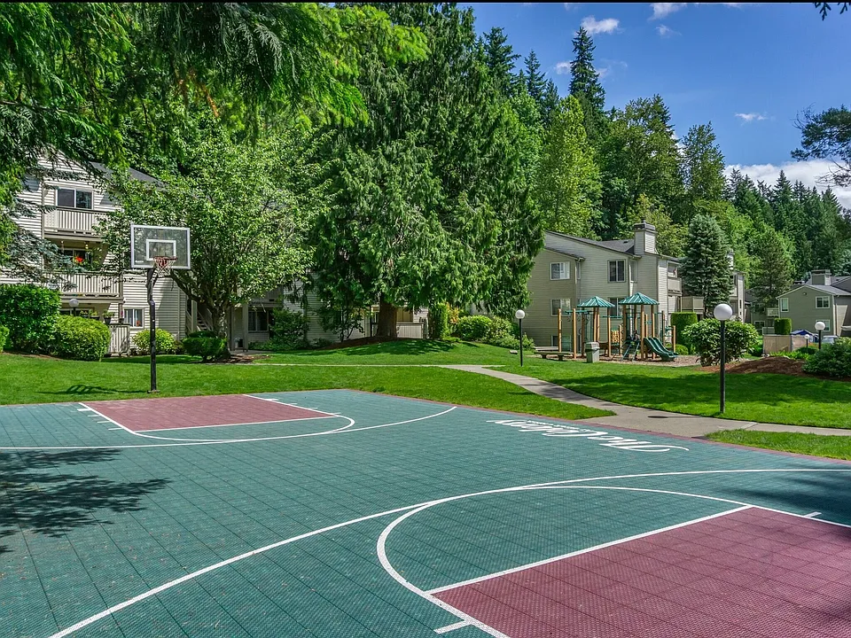 Basketball Court