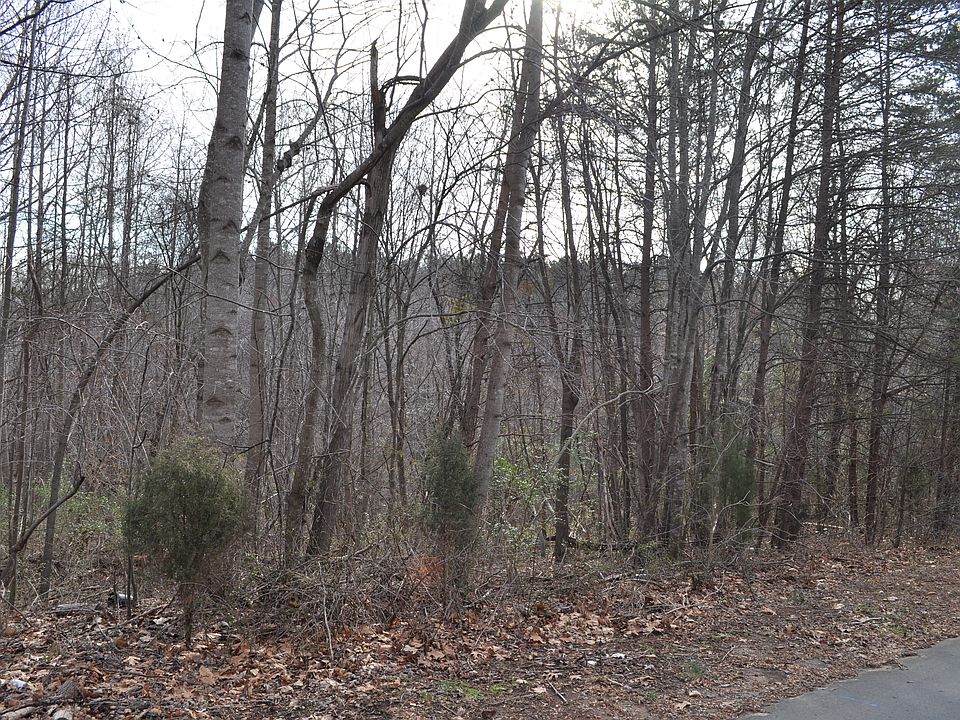 1st image of Shaftesbury Ln