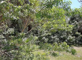 Strathmore Ave, Oldsmar, FL 34677