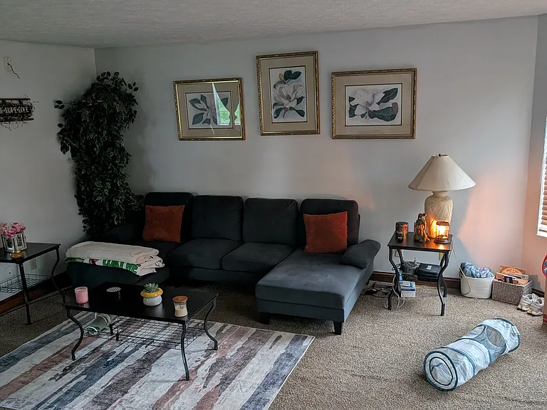 2408 Dillman St — Photo 2
