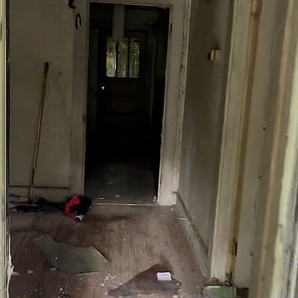 3rd image of 207 S Leesburg St