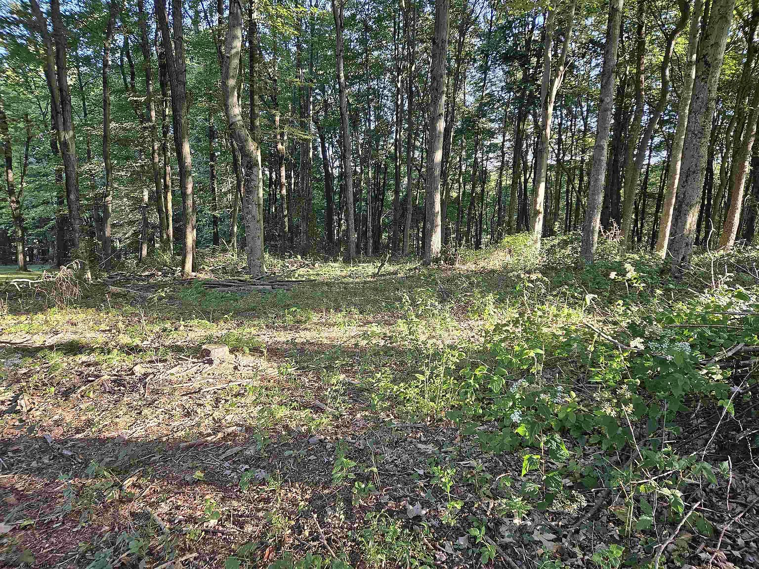 16 Summit Ct, Bruceton Mills, WV 26525 MLS 10151072 Zillow