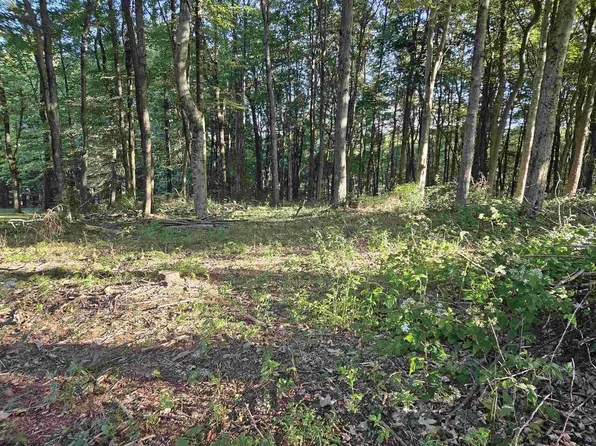 16 Summit Ct, Bruceton Mills, WV 26525
