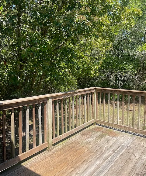 3918 Camellia Dr — Photo 21