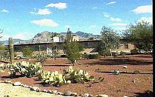 1st image of 1776 S Palo Verde Ave #-11