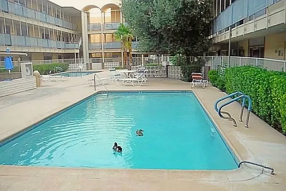 356 E Desert Inn Rd — Photo 3