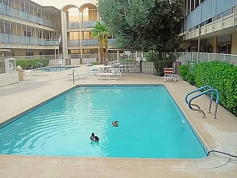 356 E Desert Inn Rd #222 — Photo 3