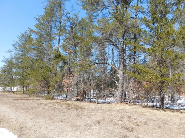 W Jones Lake Rd, Grayling, MI 49738