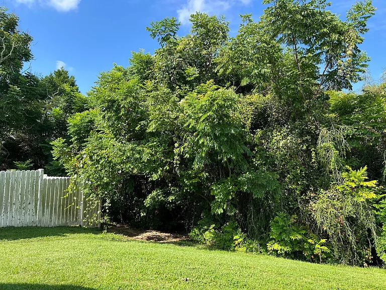 1060 Kingdom Dr — Photo 21