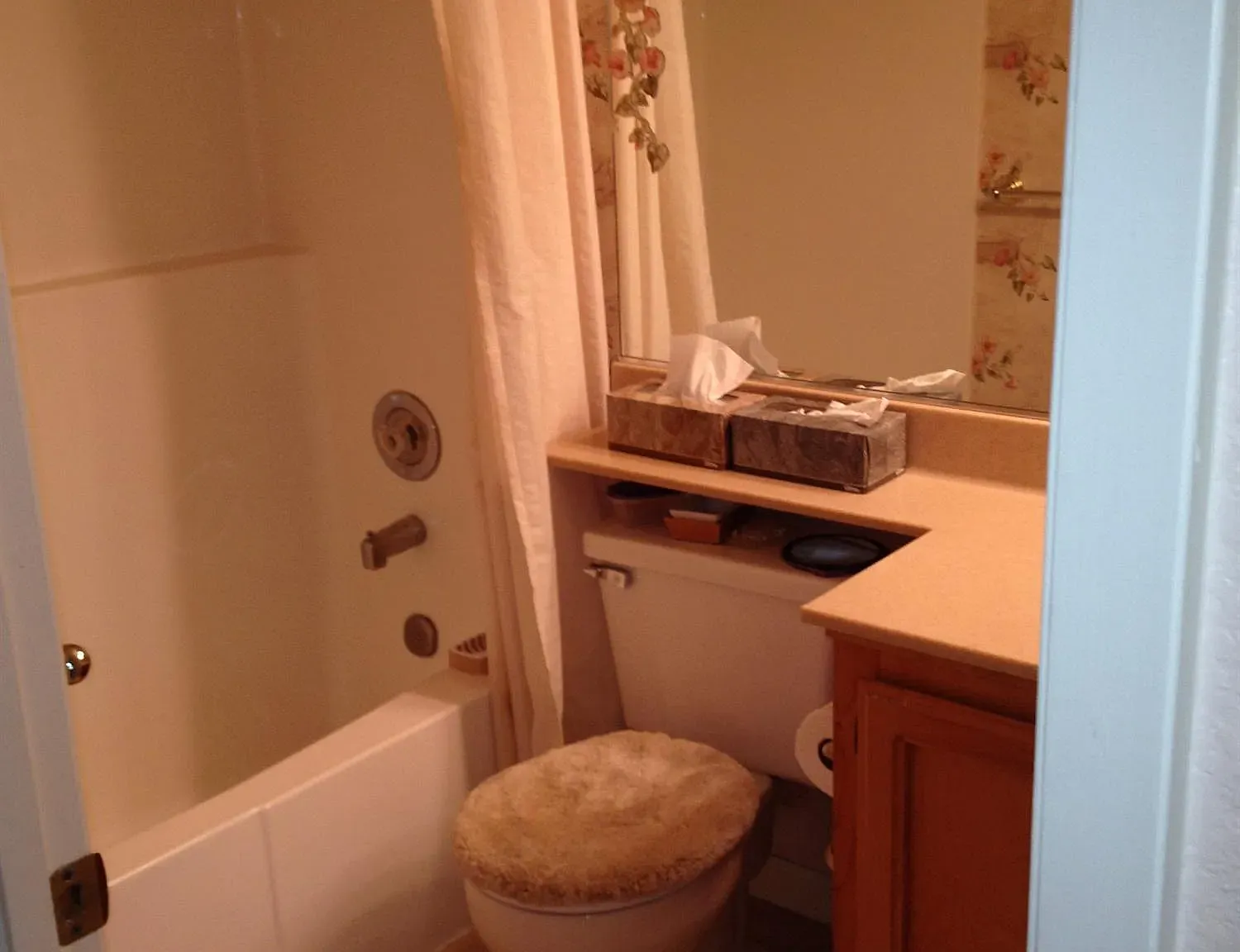 2 bed, 1062 sqft, $2,500 — Photo 4