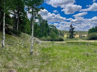458 Arrowhead Rd, Florissant, CO 80816