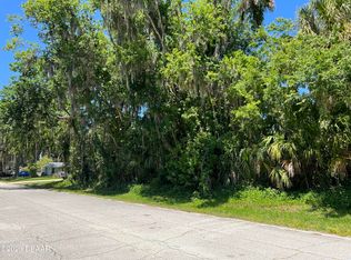 2429 Needle Palm Dr, Edgewater, FL 32141