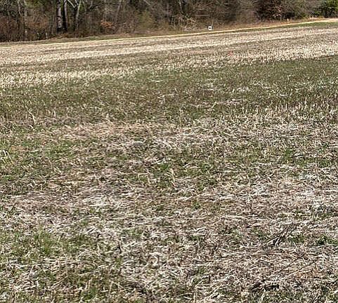 5th image of (Undisclosed Address)