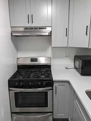 Rented by Reliance Realty of Manhattan Corp | media 9