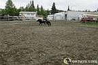Anchorage AK farm For Sale By Owner