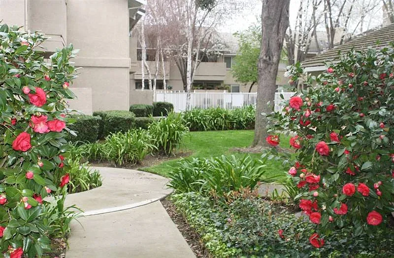 5905 Gloria Dr APT 1 photo 1