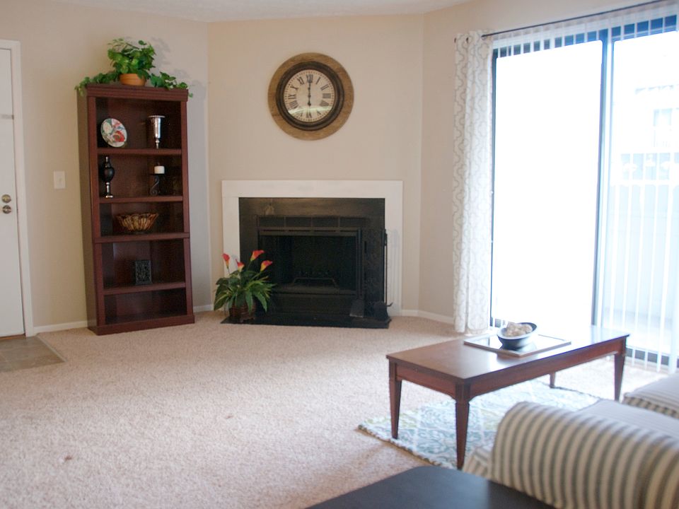 Wood Burning Fireplace