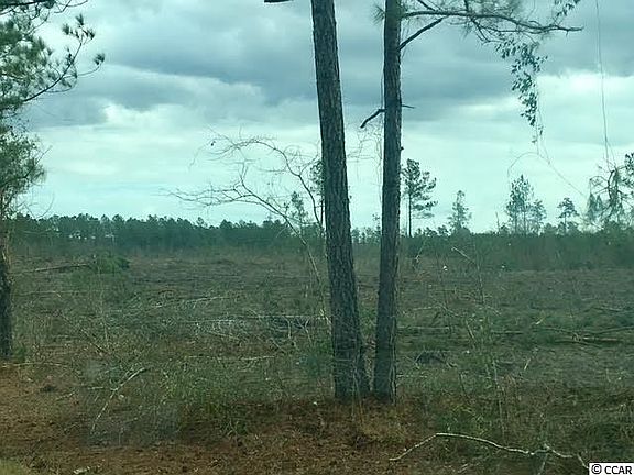 5th image of TBD Dunn Short Cut Rd. #S Side of Hwy 165