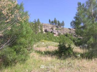 0 Patterson Creek Rd #X, Tonasket, WA 98855