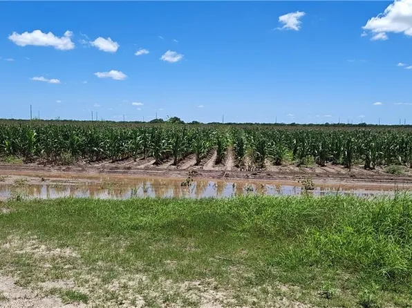 675 Landrum Park Rd, San Benito, TX 78586