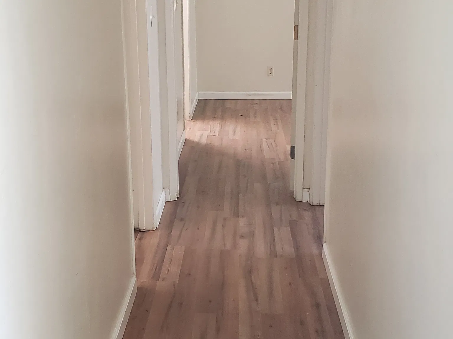 2 bed, 1000 sqft, $1,600 — Photo 3