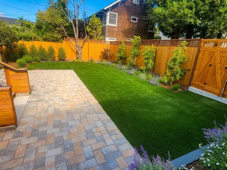 Backyard turf and landscaping