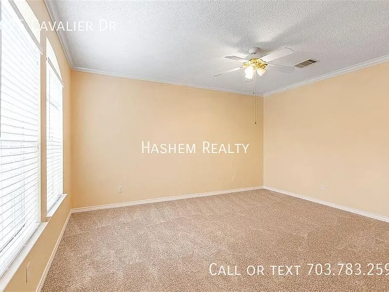 8025 Cavalier Dr — Photo 21