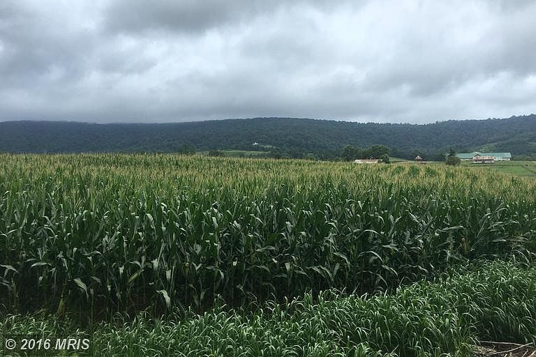 Foggy Bottom Rd, Bluemont, VA 20135 Zillow