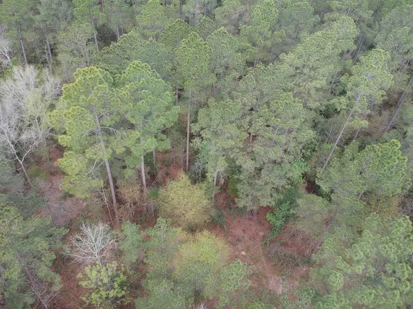 LOT 281 Lakeland Loop, Hillister, TX 77624