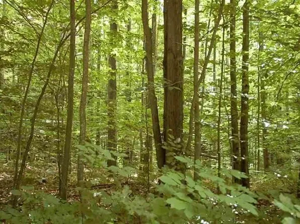 Xxx Home Acres, Houghton Lake, MI 48629