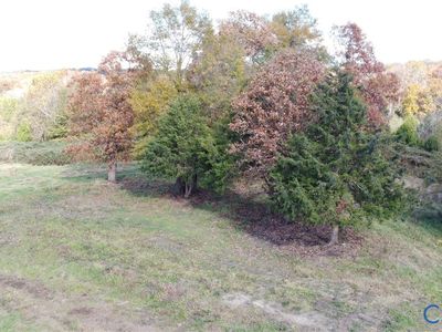 Fraher Ln, Amelia Court House, VA, 23002