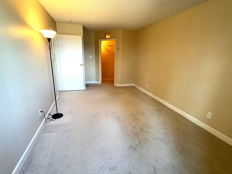 Primary bedroom with walk-in closet