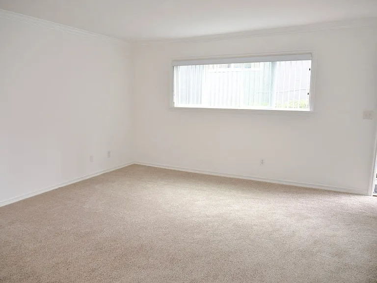 34036 Amber Lantern St — Photo 10