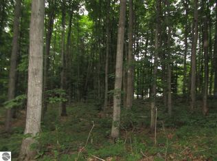 5512 Croy Lake Rd NE, Mancelona, MI 49659