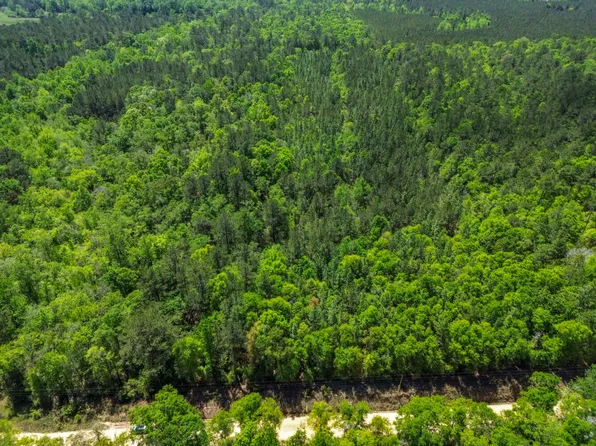 0 Grider Mock Rd, Red Level, AL 36474