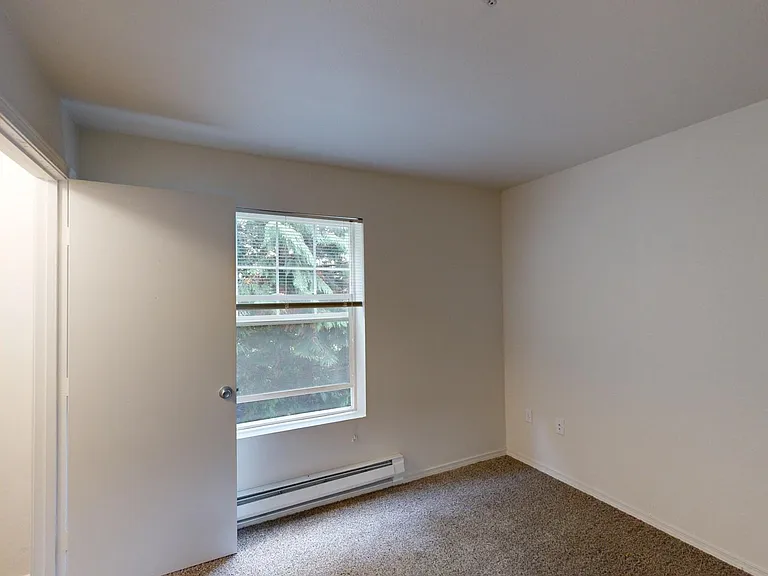 Spacious apartment bedroom with large closet and plush carpet flooring.